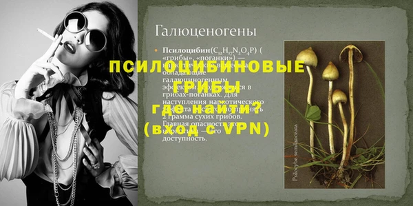 гидра Баксан