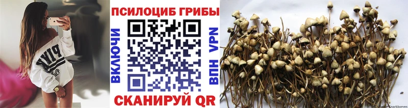 Псилоцибиновые грибы Magic Shrooms Краснообск